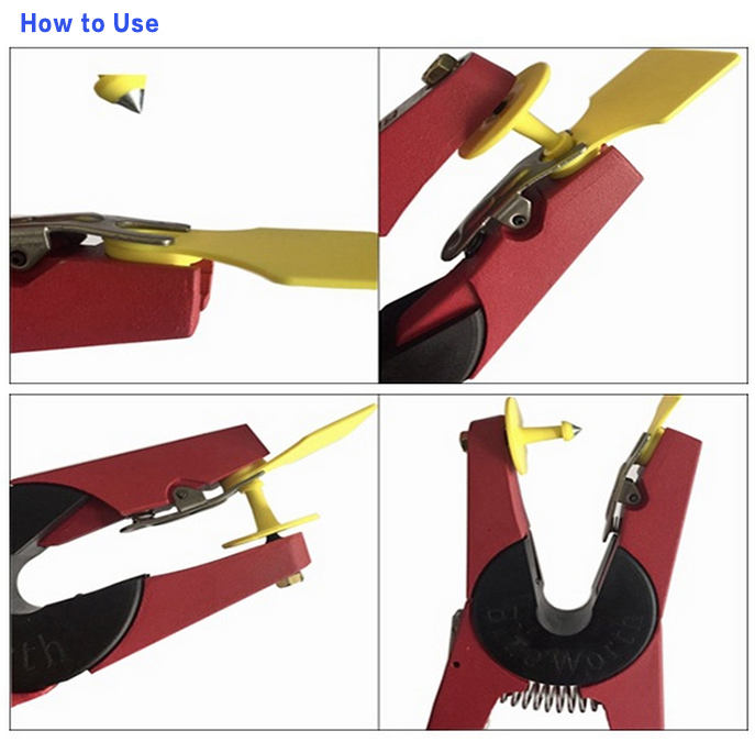 how to use animal ear tag